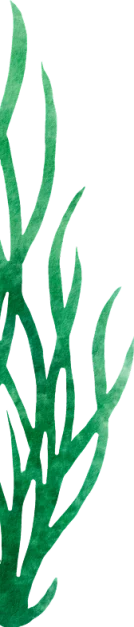 Element 010 1 (1)