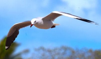 IMG_1722