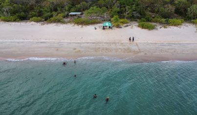 dji_fly_20241124_172238_699_1732432970130_photo_optimized